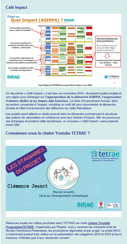 Infolettre 4 Capture 3